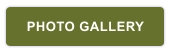 PHOTO GALLERY